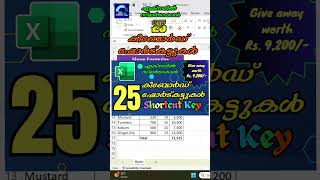 MS Excel  Show all Formulas  Excel Tutoring in Malayalam  Shortcut key exceltips exceltutorial [upl. by Hguh]