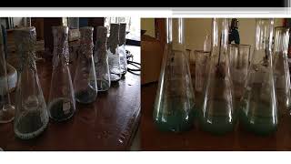 Biosorption of heavy metals Pb Cr using Spirulina [upl. by Naul972]