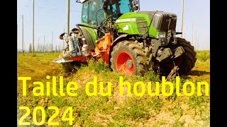 Taille du houblon 2024 [upl. by Giah625]