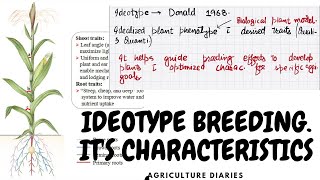 Ideotype Breeding  Its Types and Characteristics of Ideotype [upl. by Emalia]