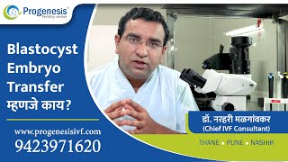 What is Blastocyst Transfer Marathi [upl. by Imre]