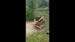 How Fast Forestry Mulcher Clearing Trail [upl. by Hasile]