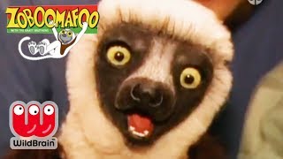 Zoboomafoo  Full Episode PlayTime  Animals For Kids [upl. by Beall]