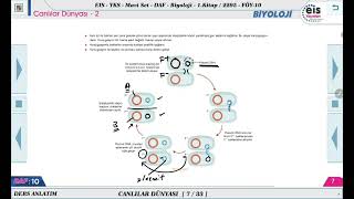 Mavi Set Biyoloji 1  Canlılar Dünyası  2 🔬 [upl. by Jammie]