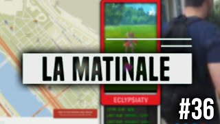 Chasse aux Pokemon Rare  La Matinale 36 [upl. by Aikemal]