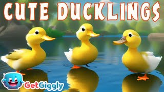 Cute Ducklings Ducks Song for Kids GetGiggly Nursery Rhymes and Kids Songs [upl. by Magree]