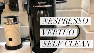 How To Clean Your Nespresso Vertuo [upl. by Fry64]