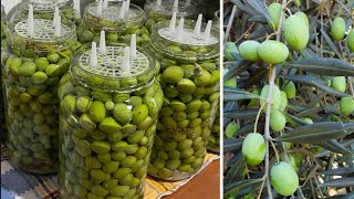 COME PREPARARE LE OLIVE VERDI IN SALAMOIA fatte in casa Ricetta di famiglia [upl. by Grani288]