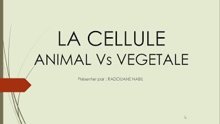 Biologie Cellulaire S1  la cellule végétale et la cellule animale الإختلاف بينهما [upl. by Eseuqcaj]