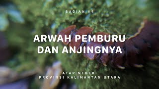 GUNUNG HARUN  Atap Negeri Kalimantan Utara 4 [upl. by Ydnyl]