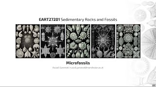 Microfossils Video 4  EART27201  Sedimentary Rocks and Fossils [upl. by Atlas]