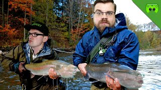 SALZANGELN 🎮 Euro Fishing 2 [upl. by Chelsey222]