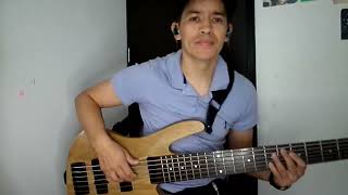 USTED ABUSO  CELIA CRUZ COVER BASS [upl. by Appleby]