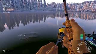 Fishing Planet  White Moose  Brook Trout Unique [upl. by Otsuaf]