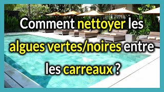 Algues VertesNoires dans les joints de Carrelage la méthode pour les rattraper Rapidement [upl. by Brecher]