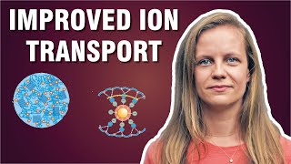 Ion Transport in Battery Electrolytes  Prof Jelena PopovicNeuber [upl. by Nishi]