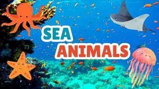 Sea Animals and Sea Creatures  Learning Aquatic Animals Names for Kids kids viralvideo youtube [upl. by Hanus983]