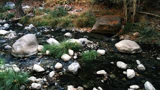 A Celebration of InterDependence Day — Gendo Lucy Xiao 玄道 — Dharma Talk at Tassajara Monastery [upl. by Asare973]