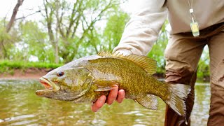 Game Changers amp Small Mouth Bass [upl. by Rochus904]