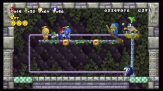 New Super Mario Bros Wii  World 5Castle [upl. by Lila]