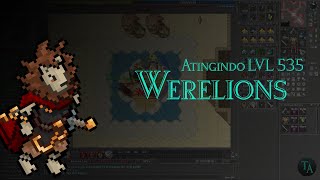 HUNT DE WERELIONS  LEVEL 535  TIBIA 2024 [upl. by Goldy]