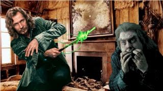 What If Sirius Black Killed Peter Pettigrew Harry Potter Theory [upl. by Ivo602]