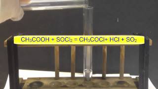 Chemistry Revision  Iron amp Copper Sulphate solution [upl. by Paresh634]