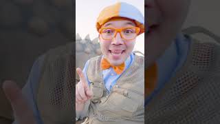 What Dinosaur is THAT  Blippi Songs 🎶 Educational Songs For Kids [upl. by Nostrebor]