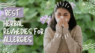 Top Herbal Remedies for Allergies [upl. by Airotna56]