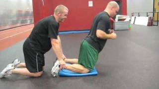 Hockey Training Partner Eccentric Hamstring Curl [upl. by Nayd]