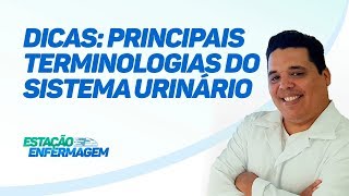 Dicas de Enfermagem  Principais Terminologias do Sistema Urinário [upl. by Ruyle518]