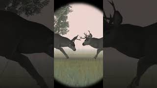 DEER HUNTER 2005 Multiplayer [upl. by Nyliuqcaj]