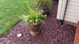 How my downspout diverter works [upl. by Aborn]