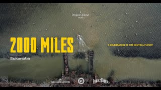 2000 Miles Official Trailer  Duck Hunting the Central Flyway [upl. by Corny]