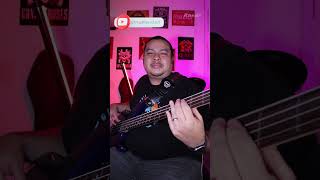 All The Small Things  Blink 182  Bass Cover  Randall Bass blink182 randallbass [upl. by Ansel]