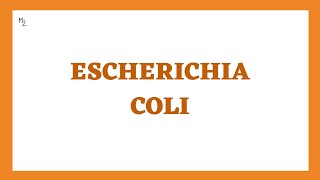 Escherichia coli Microbiology Lecture in Detail  What Are the Symptoms of E coli Infection [upl. by Leind]