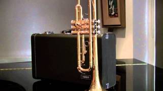 New Yamaha Student Trumpets [upl. by Campy297]