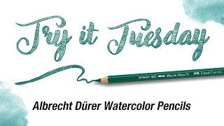 Try It Tuesday  How to Use Albrecht Dürer Watercolor Pencils  FaberCastell [upl. by Sikram]