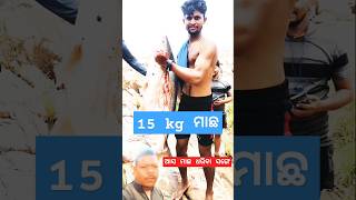 😅🤪😆😁 shorts funny video youtube comedy food fish fishing fishing video odia fishing ମାଛ [upl. by Marcelo831]