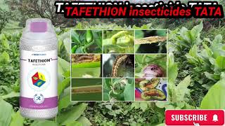 Tafethion insecticide TATA Ethion 50� [upl. by Howzell]