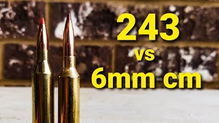 243 vs 6mm creedmoor [upl. by Sayette]