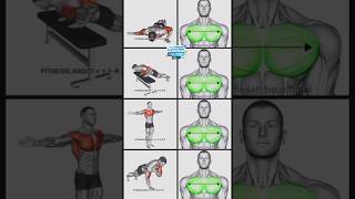 Chest workout Tricep workout Six pack Exercise bicep workout Forearm Shoulder workout Back Workout l [upl. by Askwith480]