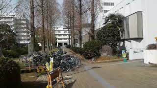 My Journey to Gifu University after 25 years Part 4 [upl. by Modie]