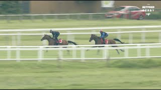 BETFRED DERBY amp OAKS CONTENDERS GALLOP AT EPSOM DOWNS RACECOURSE [upl. by Eaner]