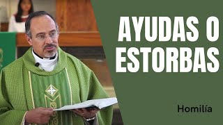 Homilía quotAyudas o estorbasquot  Padre Ernesto María Caro [upl. by Renata]