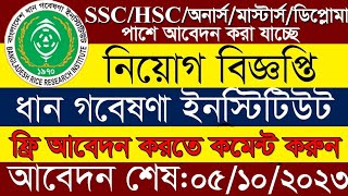 ধান গবেষণা ইনস্টিটিউট ব্রি এ চাকরির বিজ্ঞপ্তি ২০২৩  Dhan Gobesona Institute Bree Job Circular 2023 [upl. by Platon]