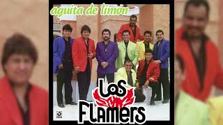 Los Flamers  Boquita Azucarada Visualizador Oficial [upl. by Berte]