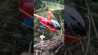 R44 Helicopter Logging Support SE Alaska Part 2 [upl. by Manaker]