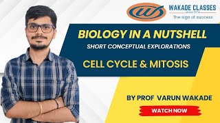 Cell Cycle amp Stages of Mitosis [upl. by Ardnuasal532]