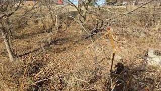 Bioretention Pond [upl. by Orland]